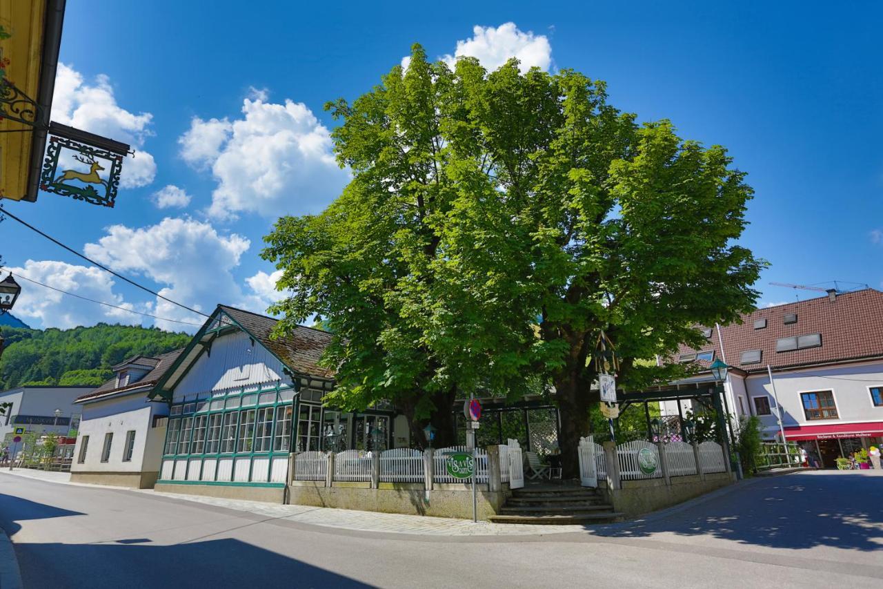 Apartment Welser Ybbsitz Exterior foto